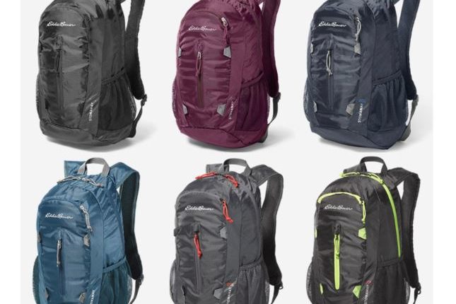 eddie bauer day pack